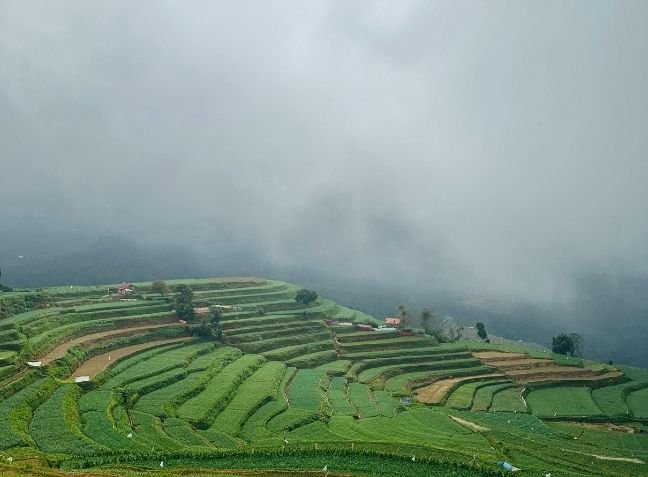 Beautiful View